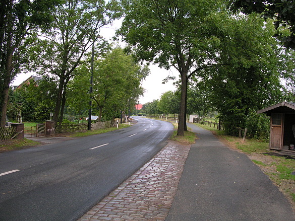 Ansicht der baumbewachsenen Stromer Landstraße 