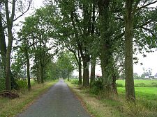 Der Stellfeldsweg ist eine alte Wegeverbindung zwischen den Ortsteilen Strom und Seehausen